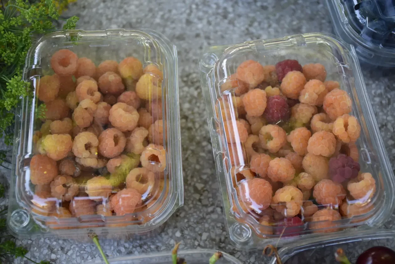 Sajam, 18.6.2025., Čakovec (5) Sajam, 18.6.2025., Čakovec (5)