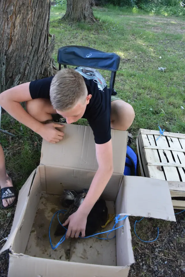 Sajam, 18.6.2025., Čakovec (51)