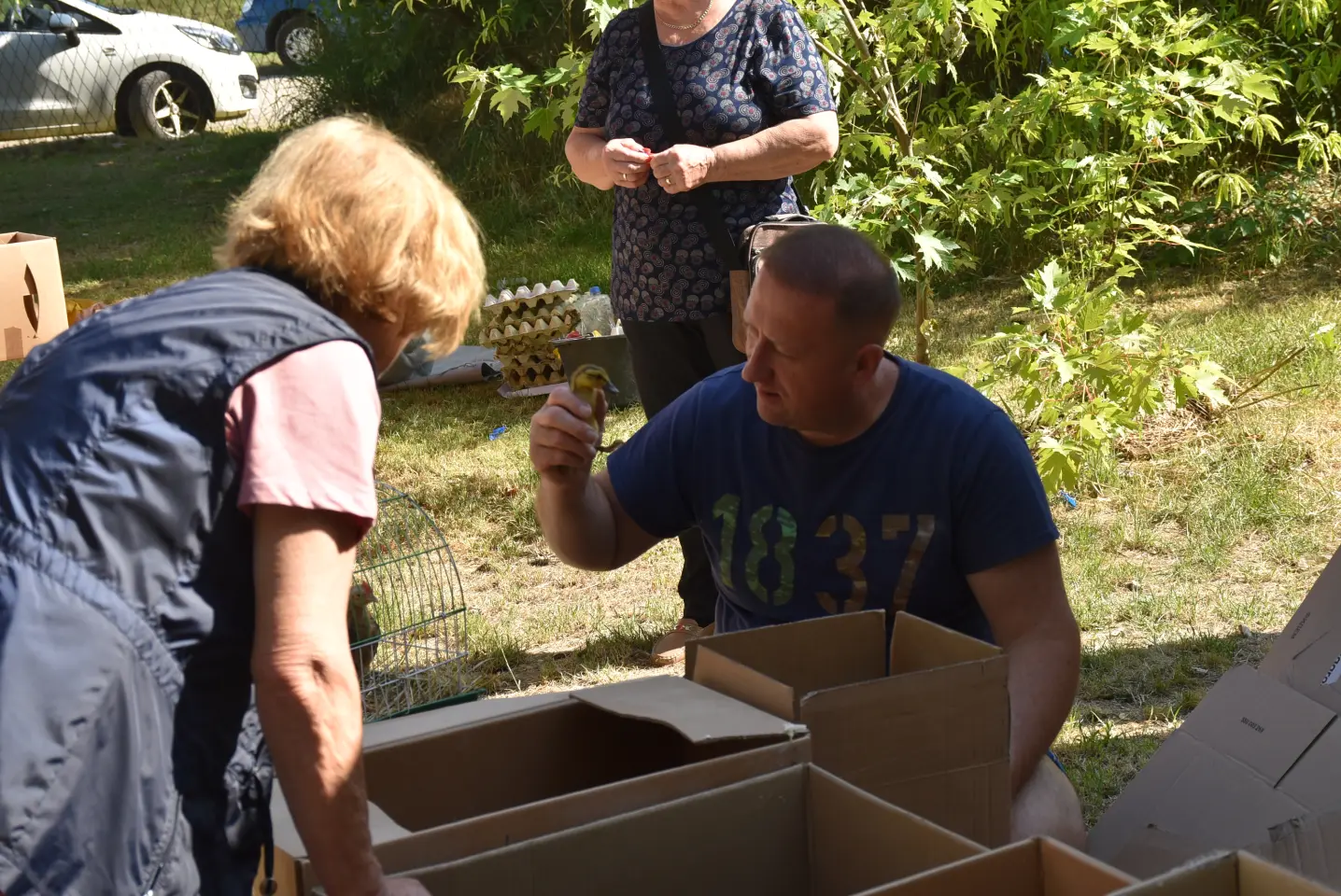 Sajam, 18.6.2025., Čakovec (58)