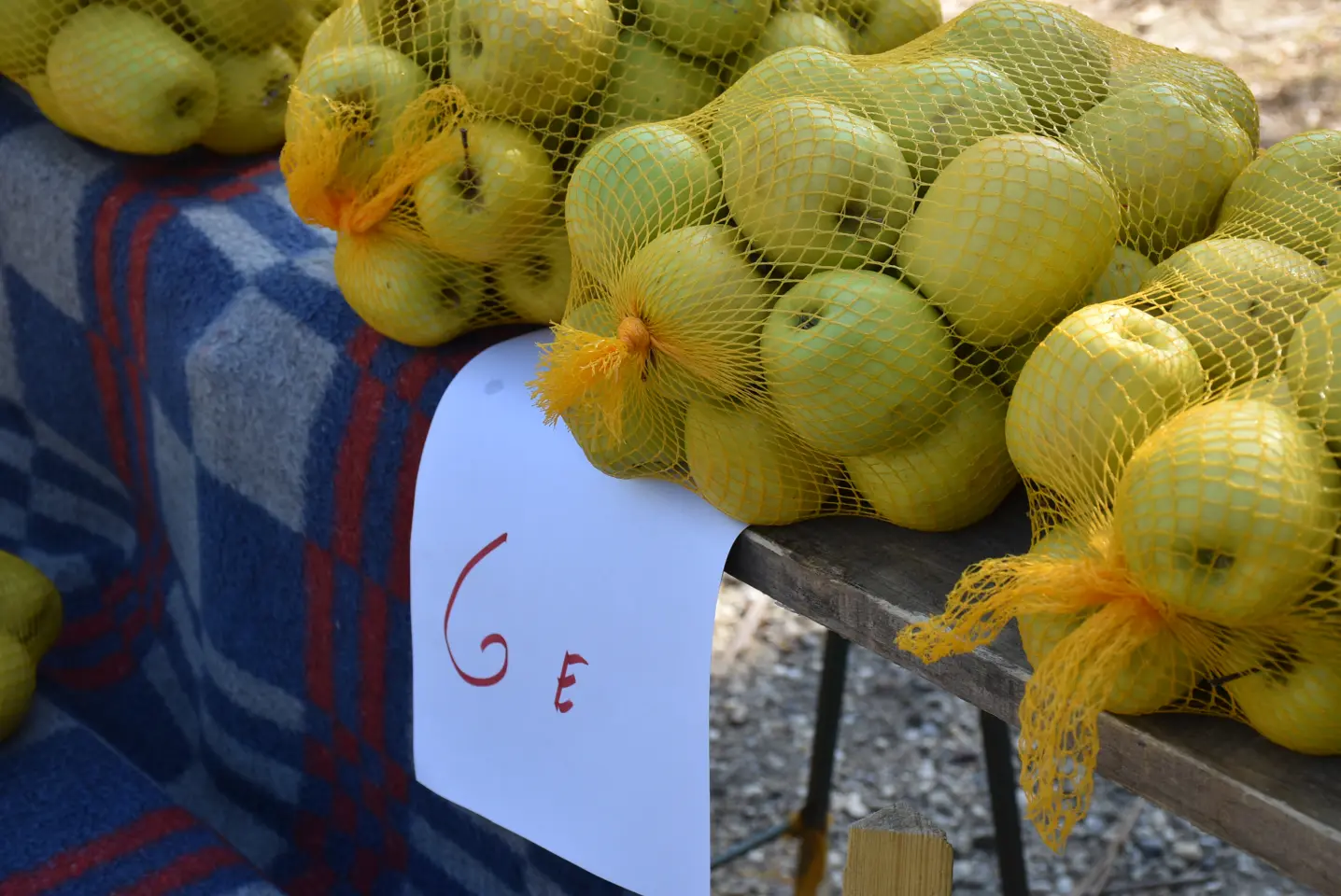 Sajam, 18.6.2025., Čakovec (8)