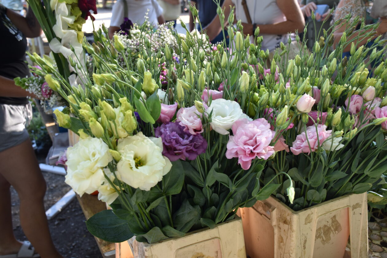 Sajam 2.7.2025. Čakovec (13)