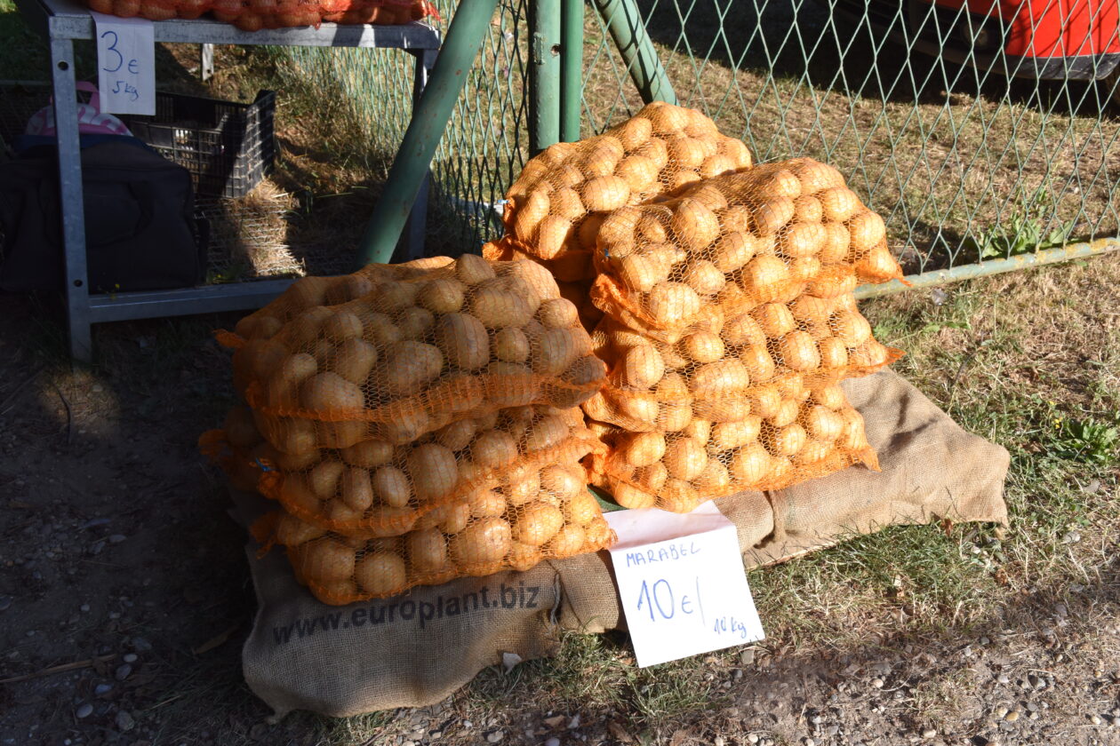 Sajam 2.7.2025. Čakovec (2)