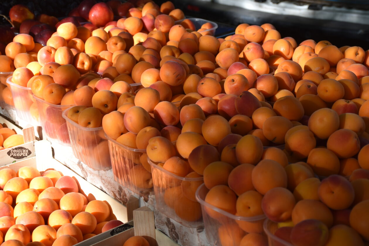 Sajam 2.7.2025. Čakovec (20)