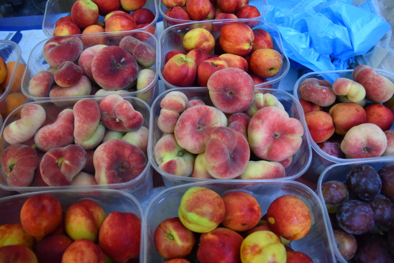 Sajam 2.7.2025. Čakovec (31)