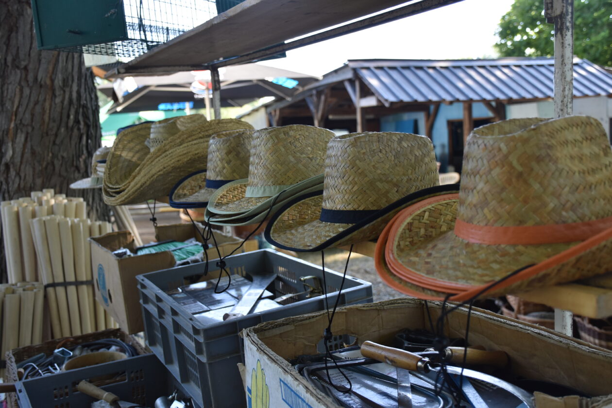 Sajam 2.7.2025. Čakovec (38)