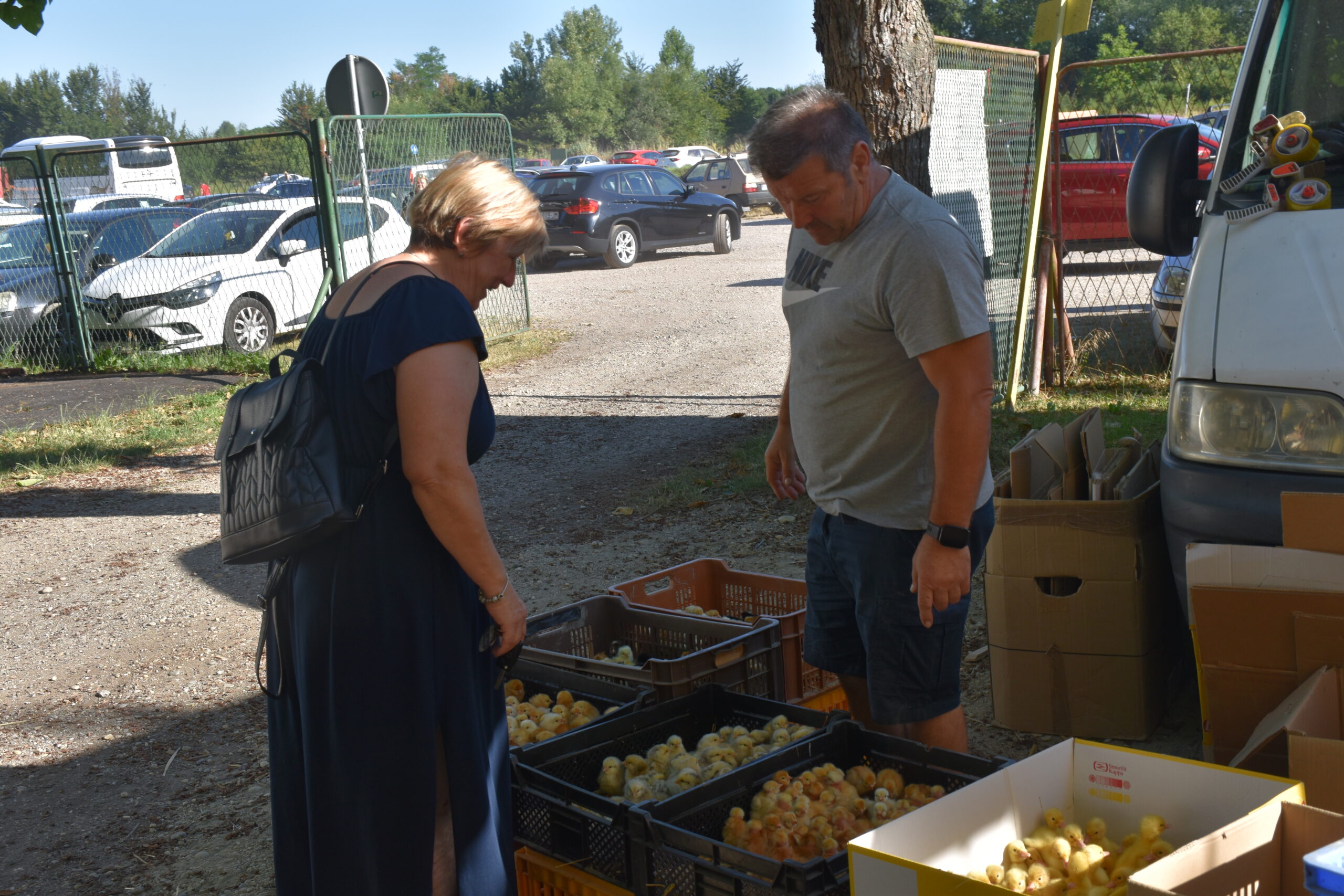 Sajam 2.7.2025. Čakovec (45)