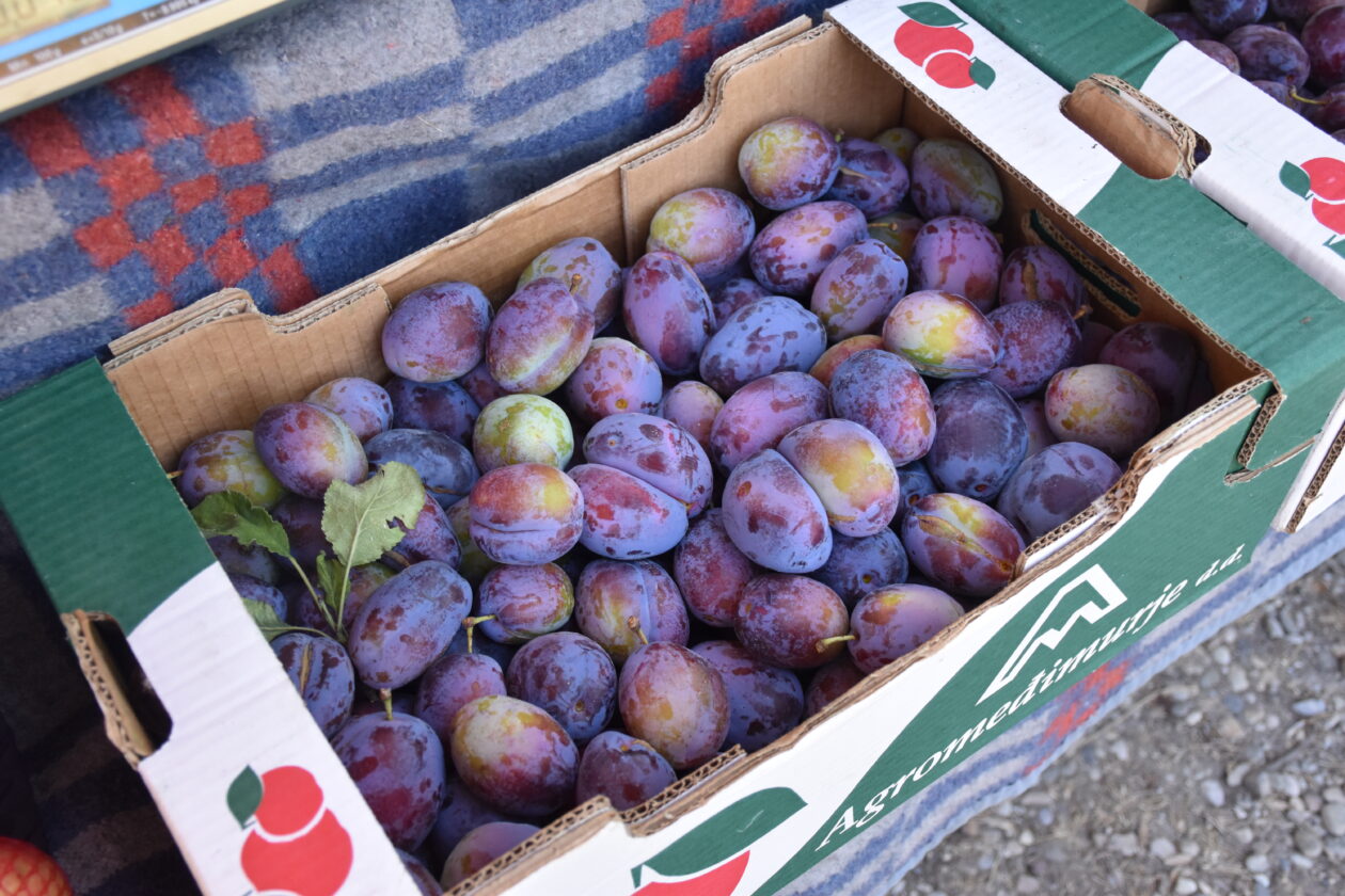 Sajam 2.7.2025. Čakovec (6)