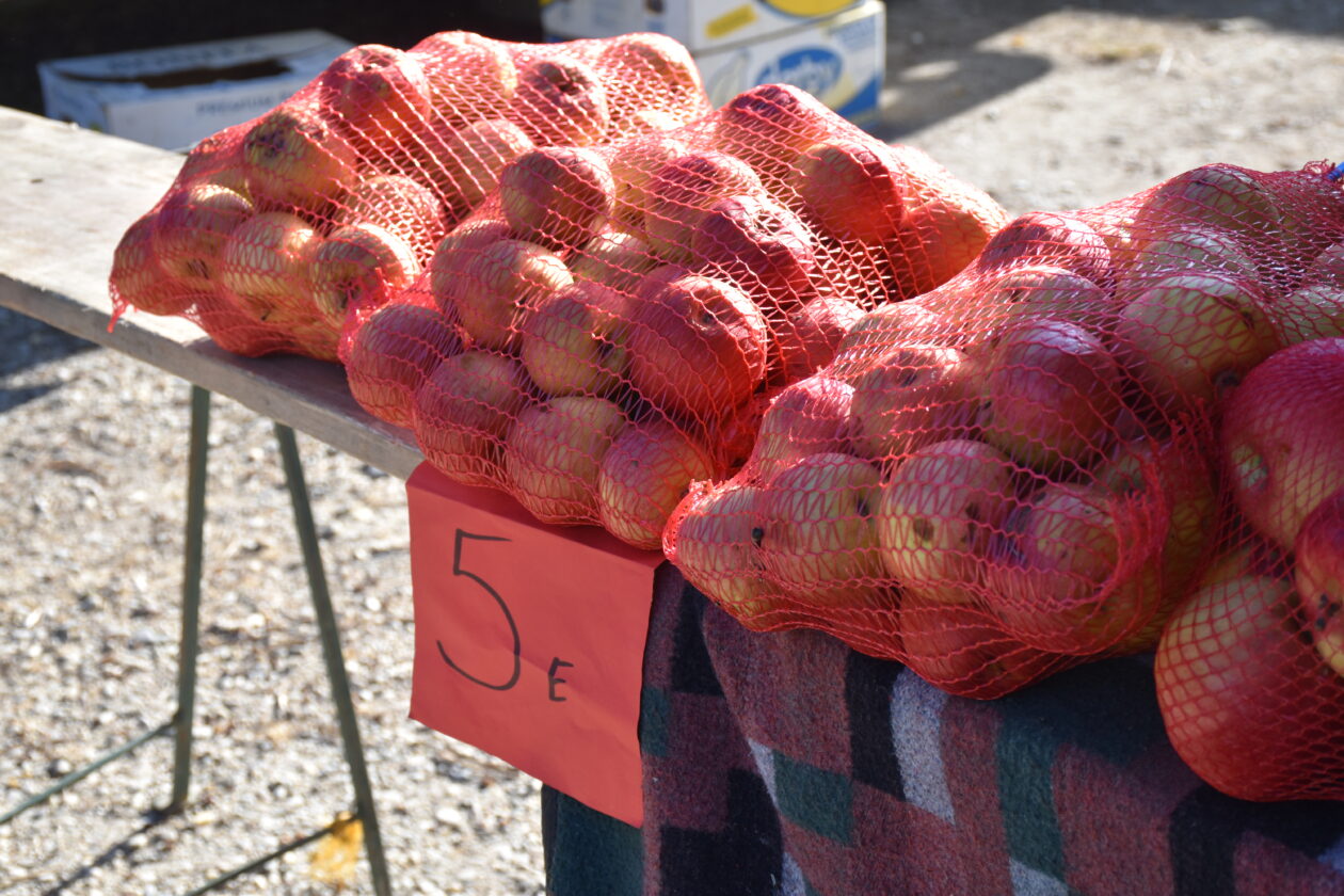 Sajam 2.7.2025. Čakovec (7)