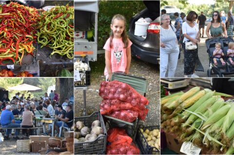 Sajam 20.8.2025. Naslovna