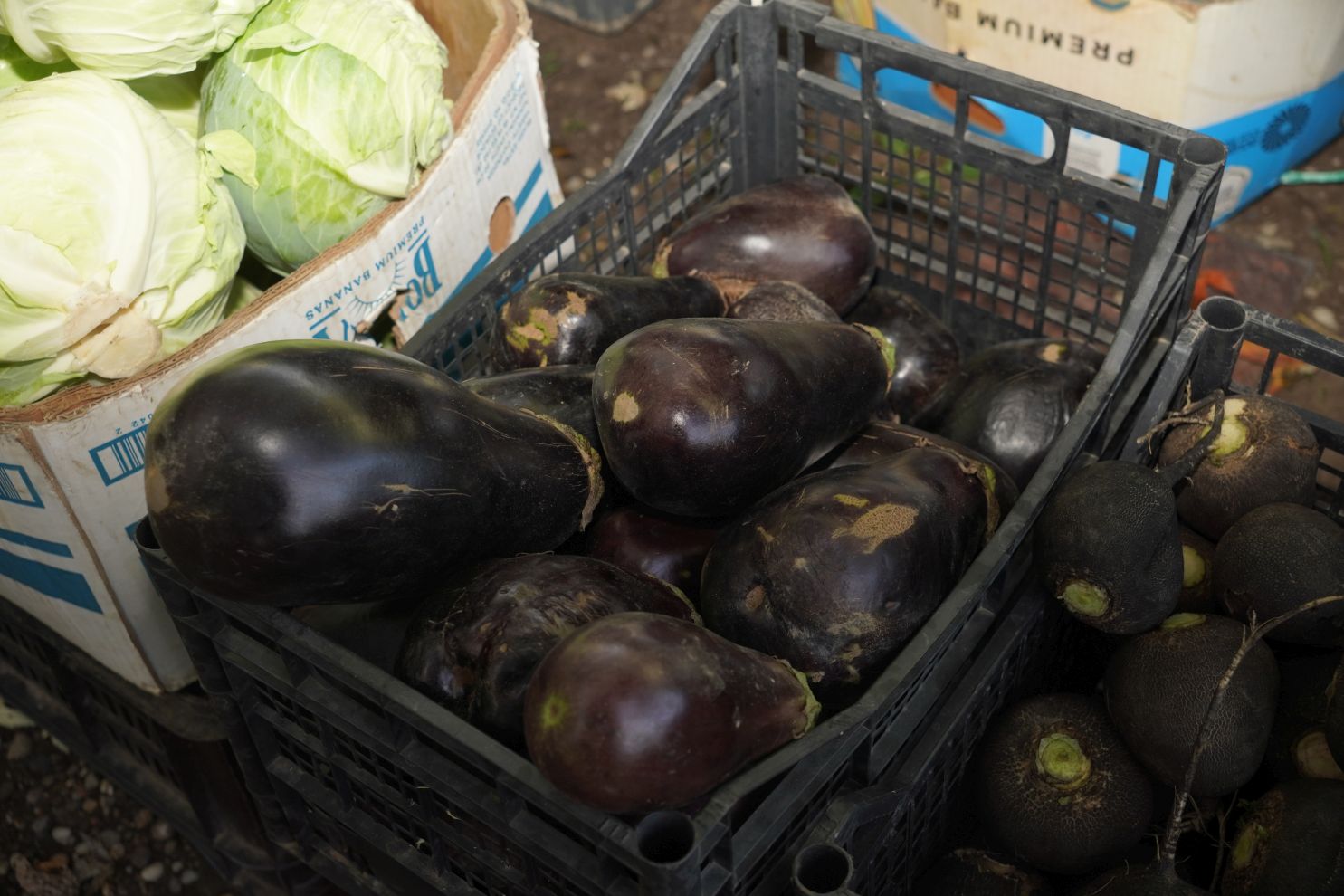 Sajam 22.10.2025 (10)