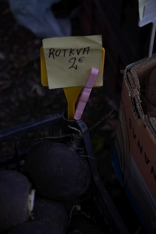 Sajam 22.10.2025 (11)