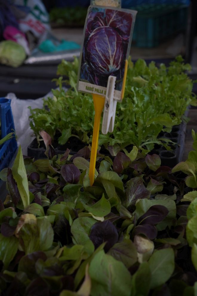 Sajam 22.10.2025 (12)