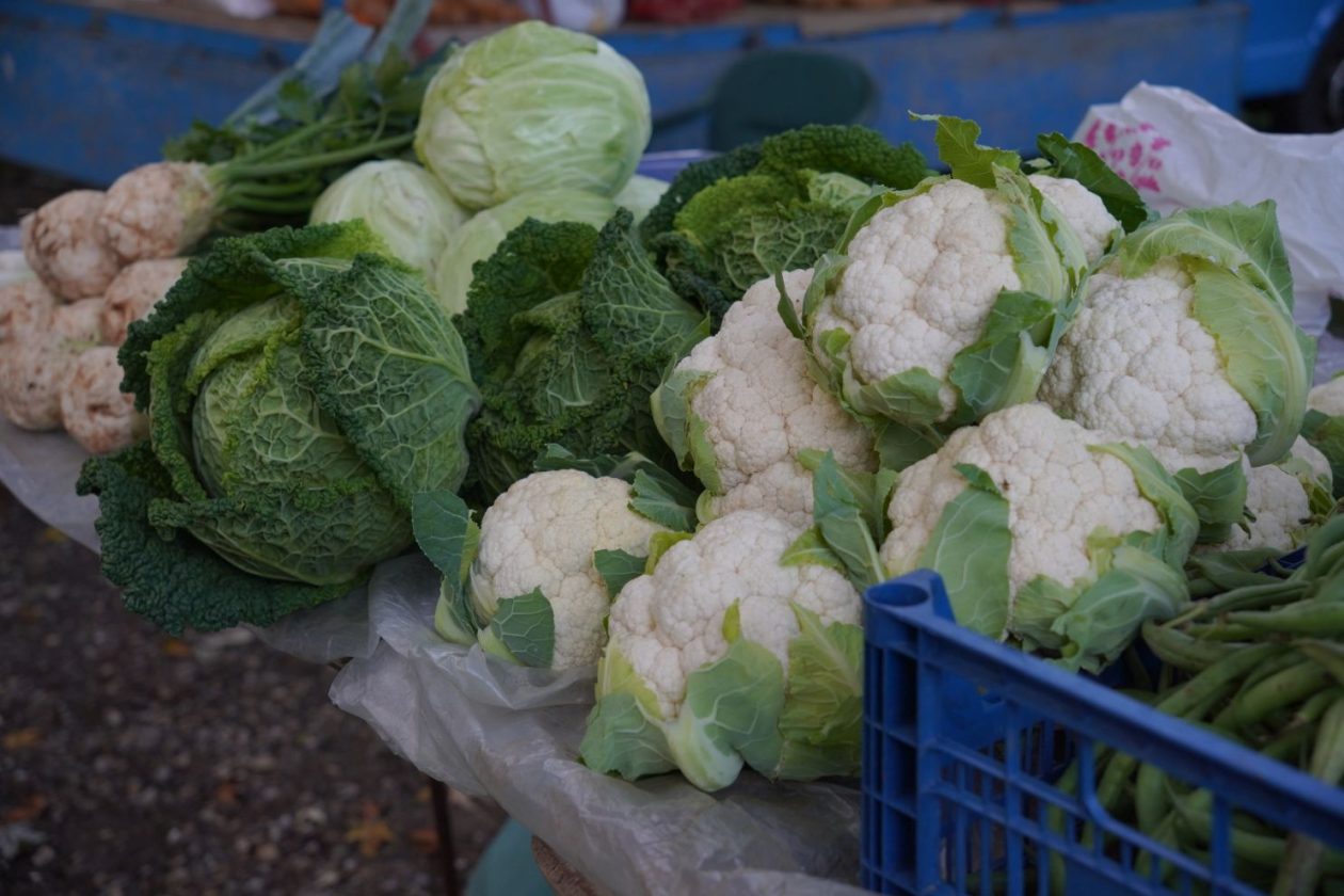 Sajam 22.10.2025 (13)