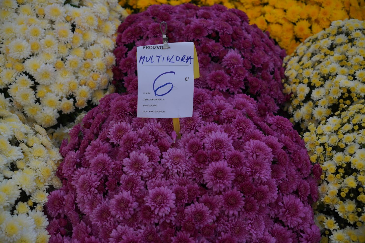 Sajam 22.10.2025 (17)