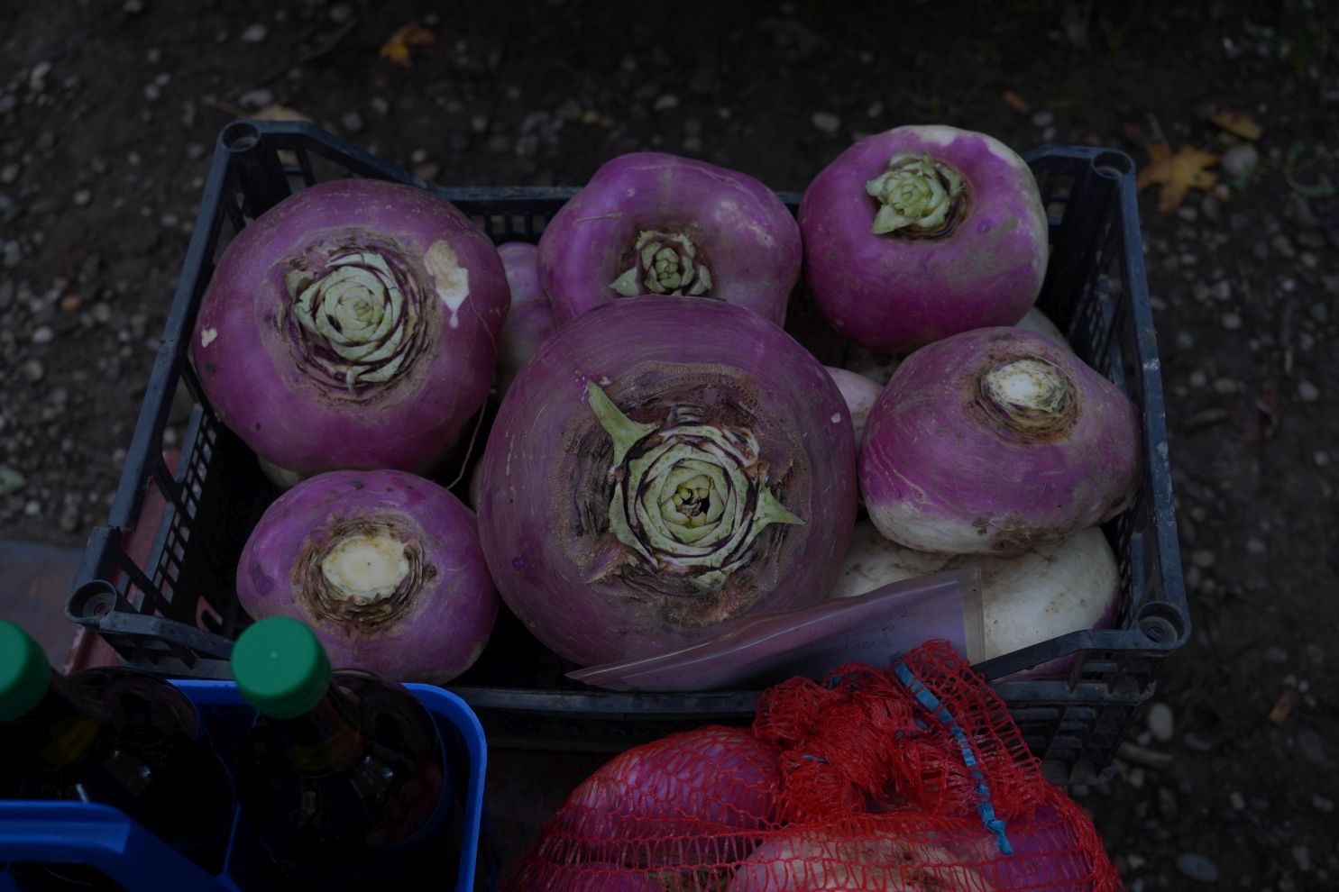 Sajam 22.10.2025 (18)