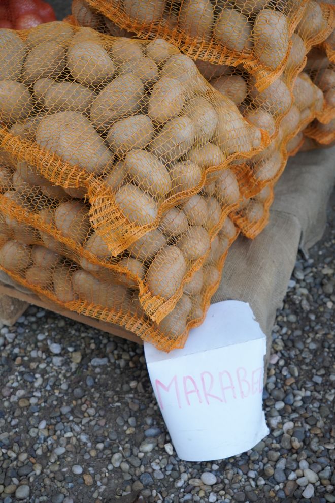 Sajam 22.10.2025 (2)