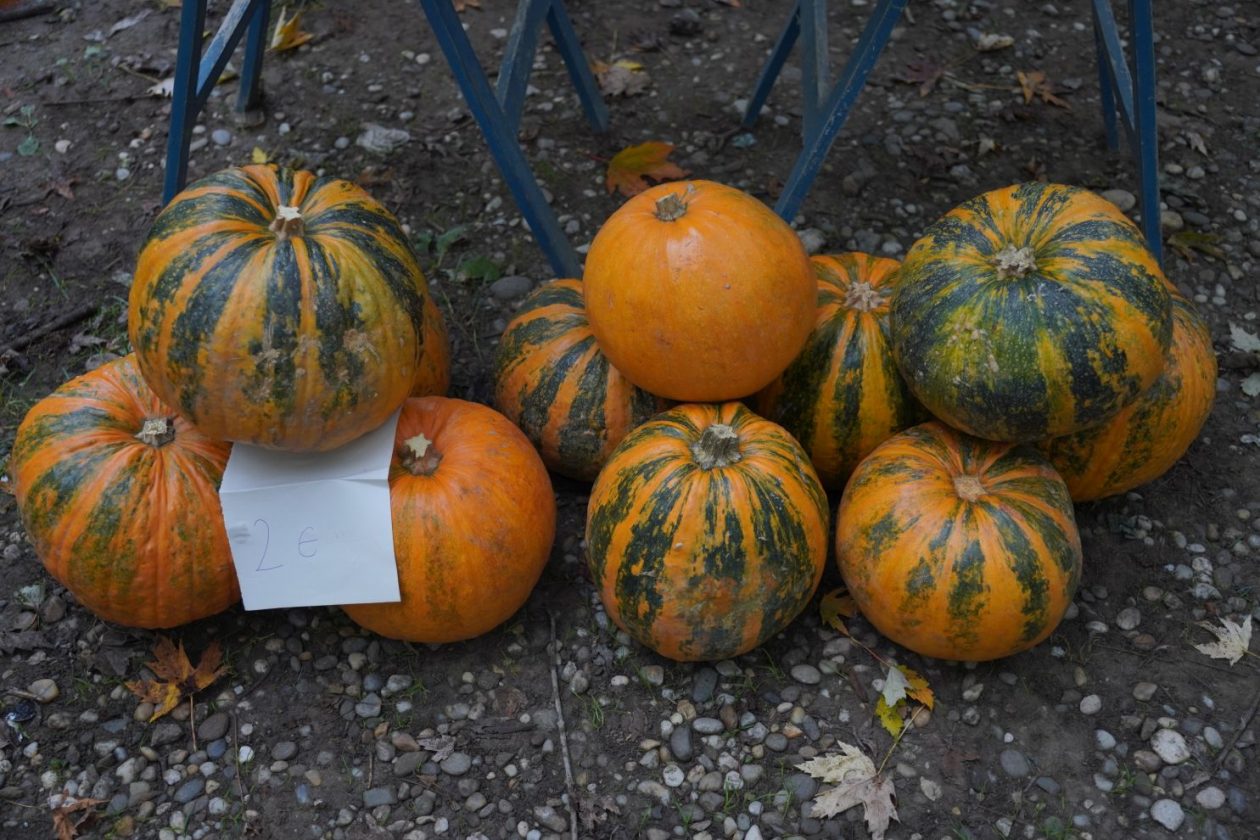 Sajam 22.10.2025 (21)