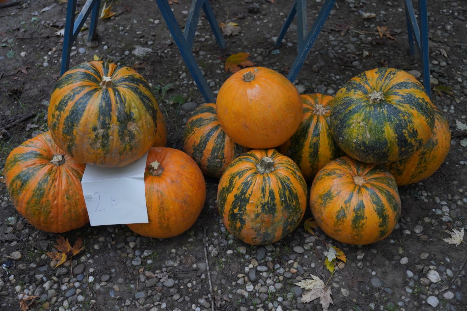 Sajam 22.10.2025 (21)