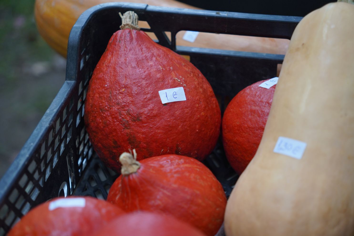 Sajam 22.10.2025 (22)