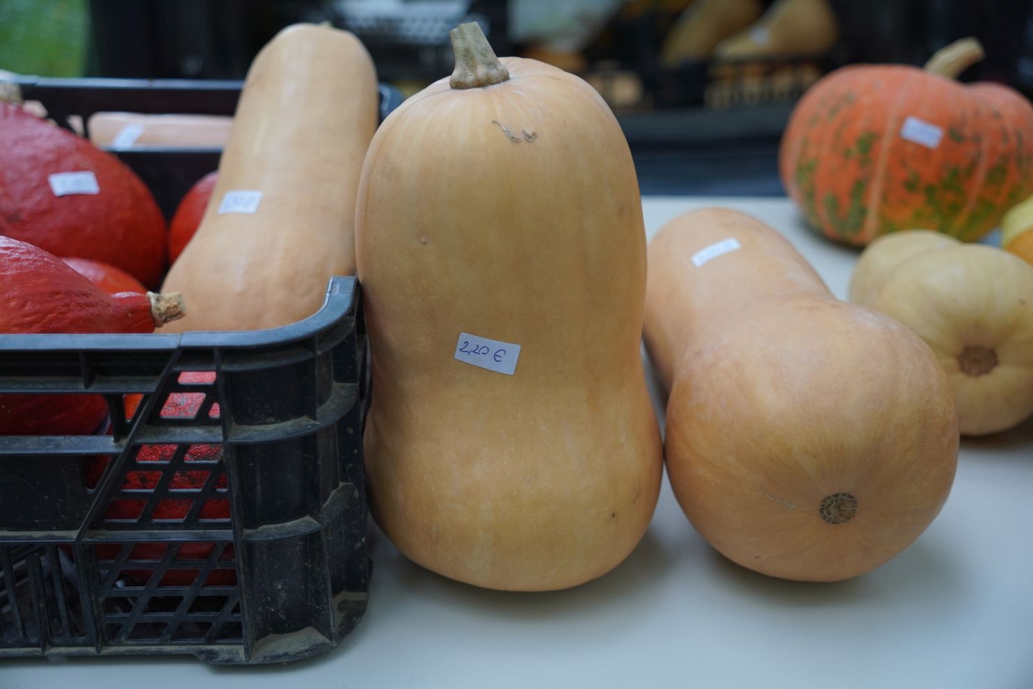 Sajam 22.10.2025 (23)