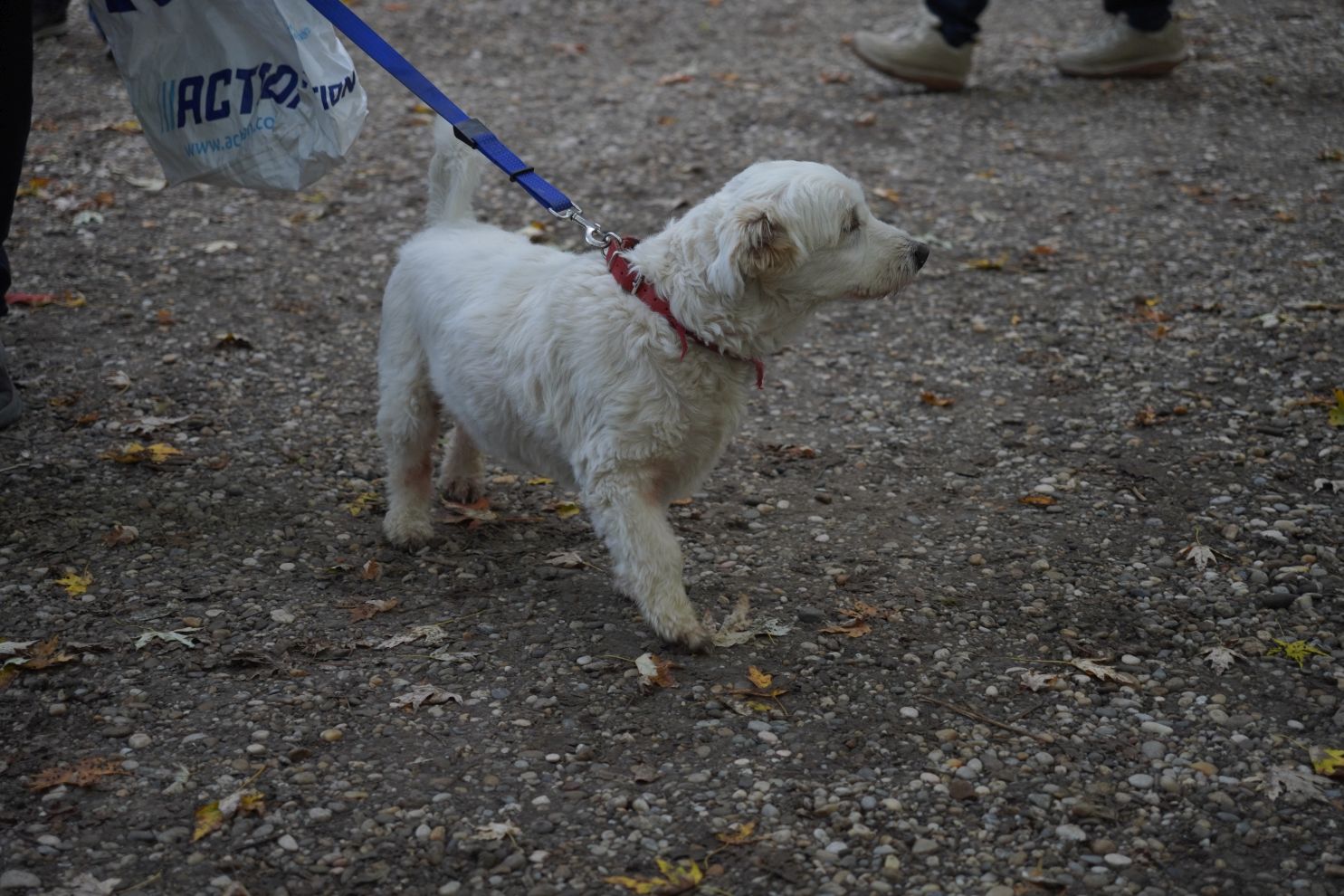 Sajam 22.10.2025 (26)