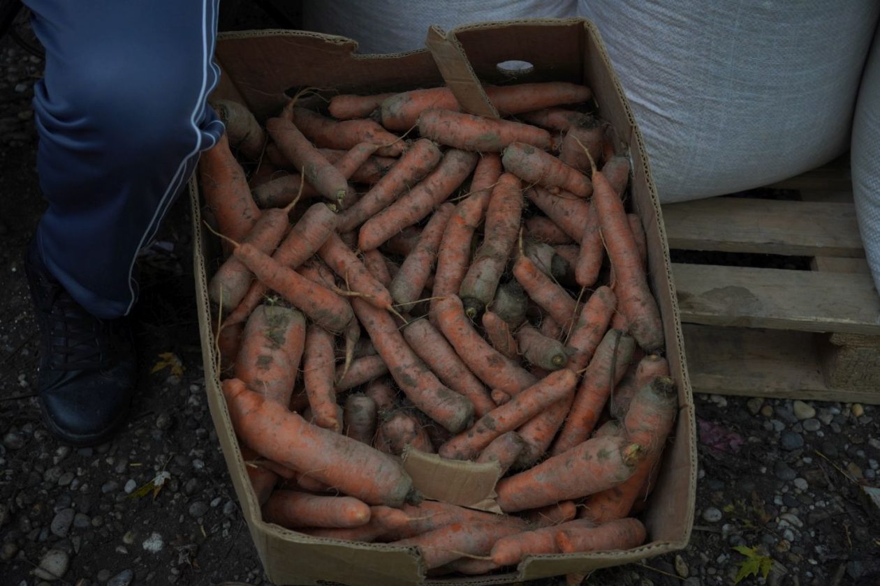 Sajam 22.10.2025 (28)