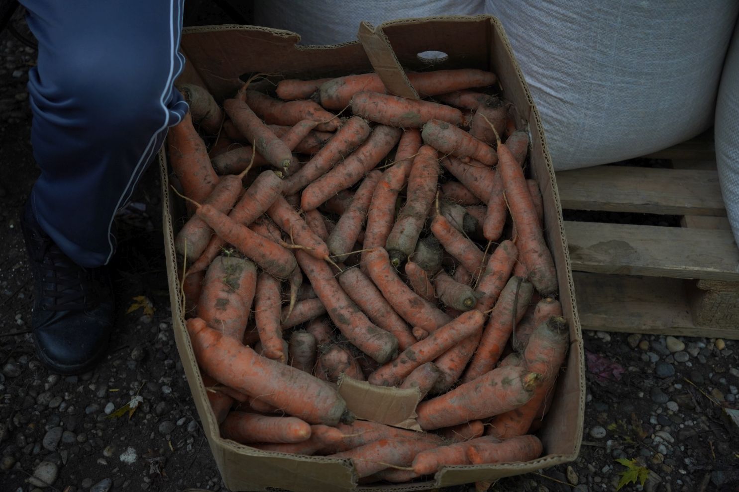 Sajam 22.10.2025 (28)