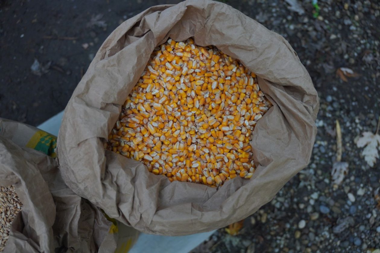 Sajam 22.10.2025 (34)