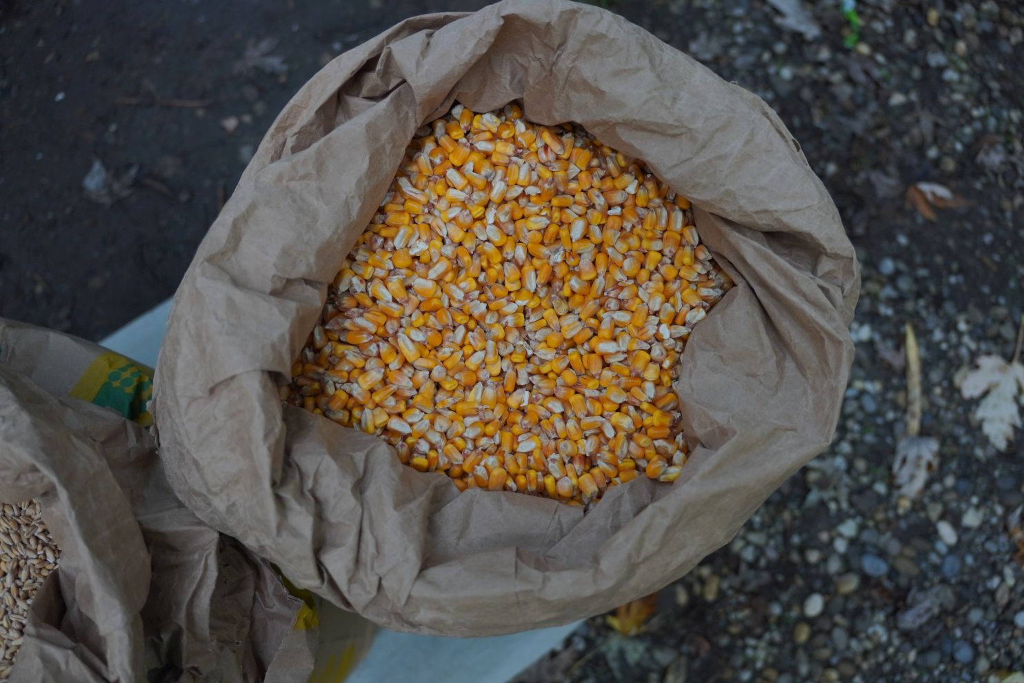 Sajam 22.10.2025 (34)