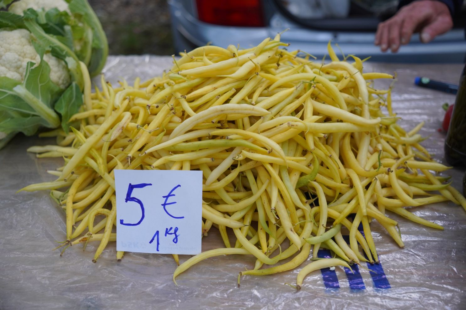 Sajam 22.10.2025 (36)