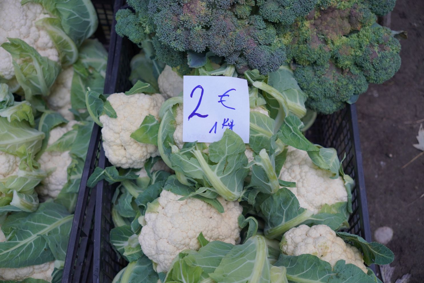 Sajam 22.10.2025 (37)