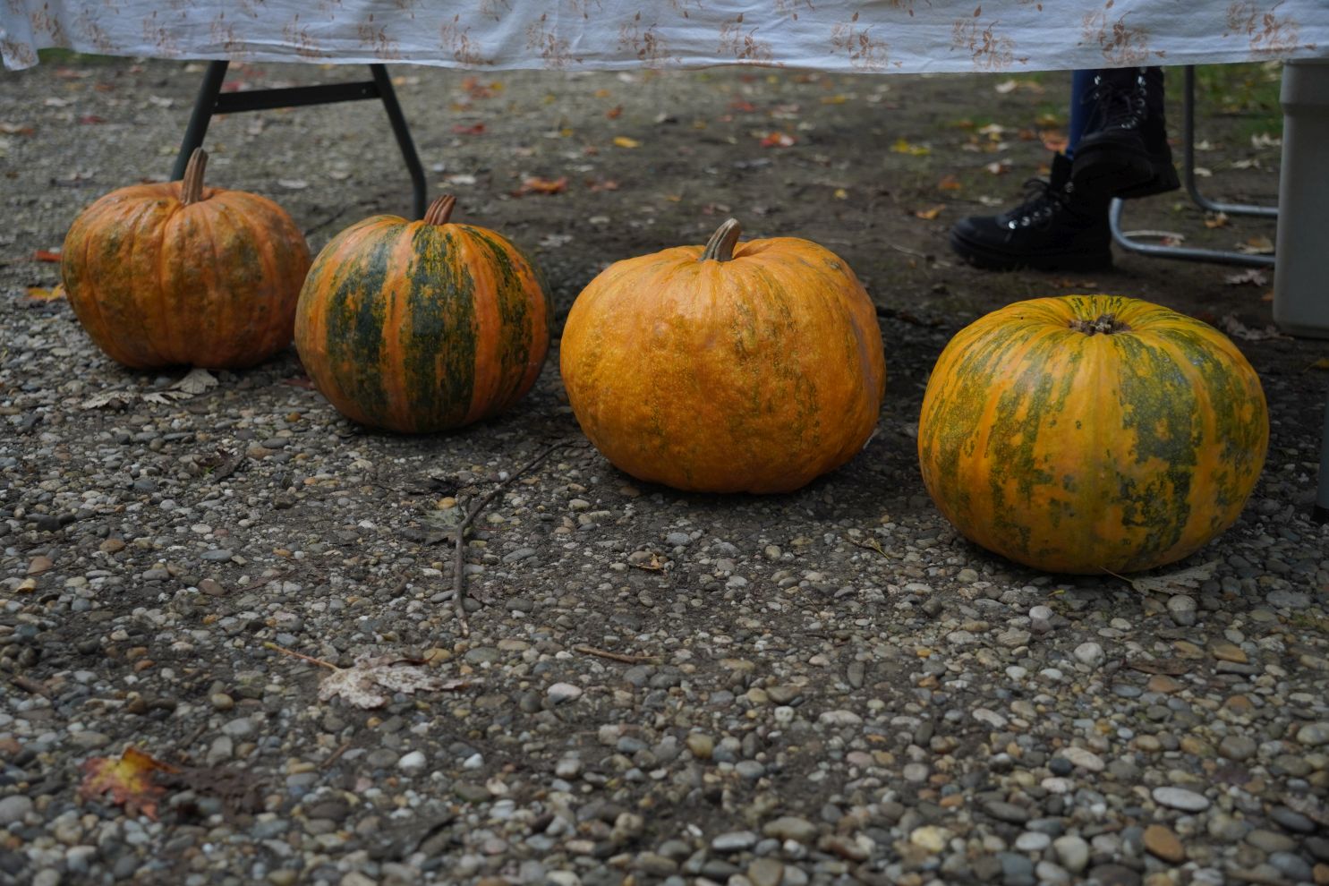 Sajam 22.10.2025 (41)