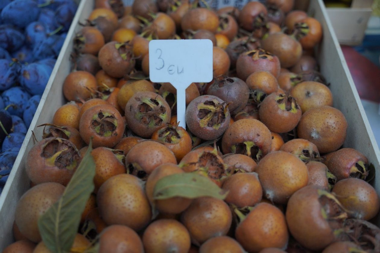 Sajam 22.10.2025 (42)