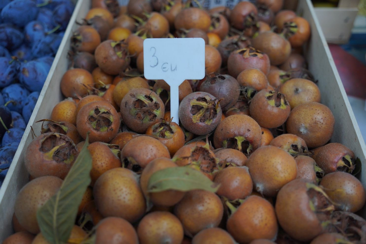 Sajam 22.10.2025 (42)