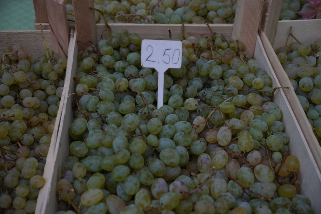 Sajam 22.10.2025 (47)