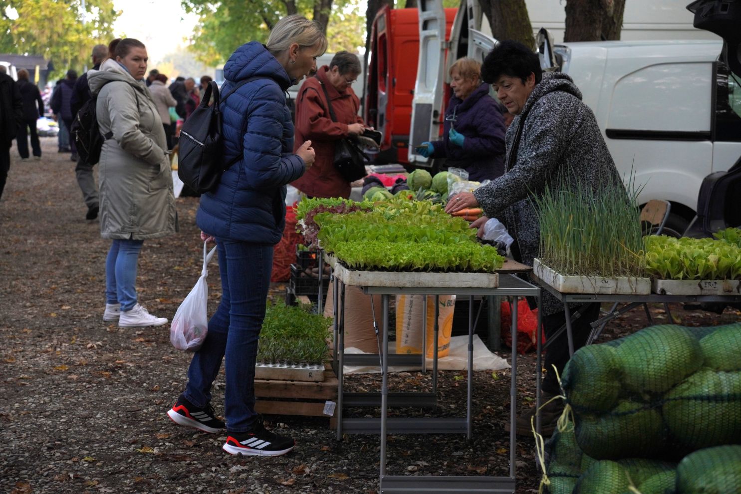 Sajam 22.10.2025 (49)