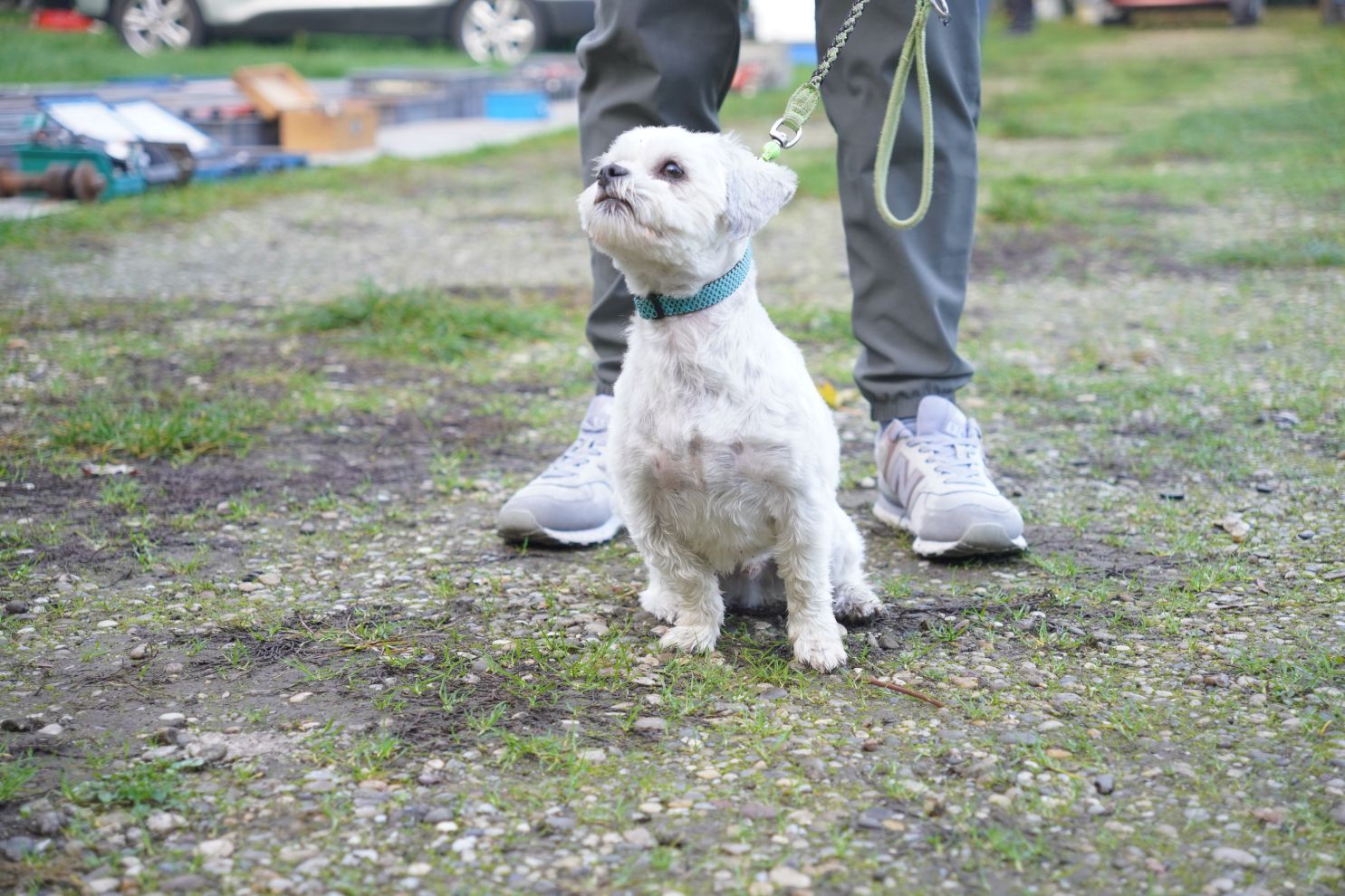 Sajam 22.10.2025 (68)