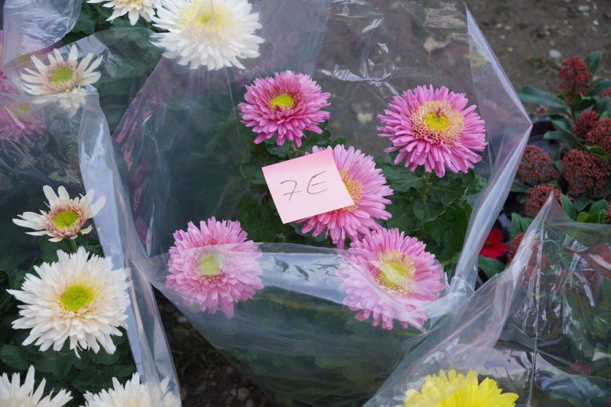 Sajam 22.10.2025 (7)