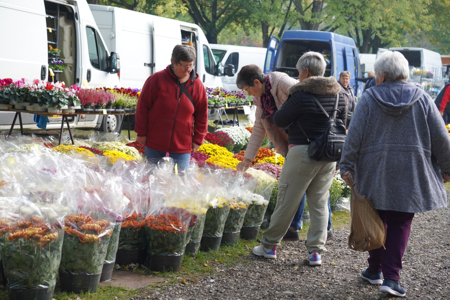 Sajam 22.10.2025 (72)