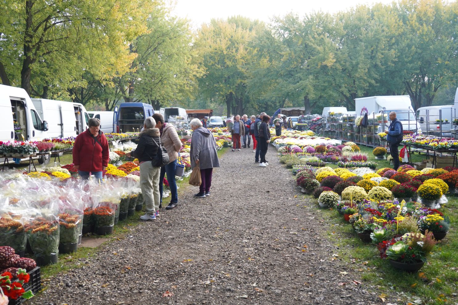 Sajam 22.10.2025 (73)