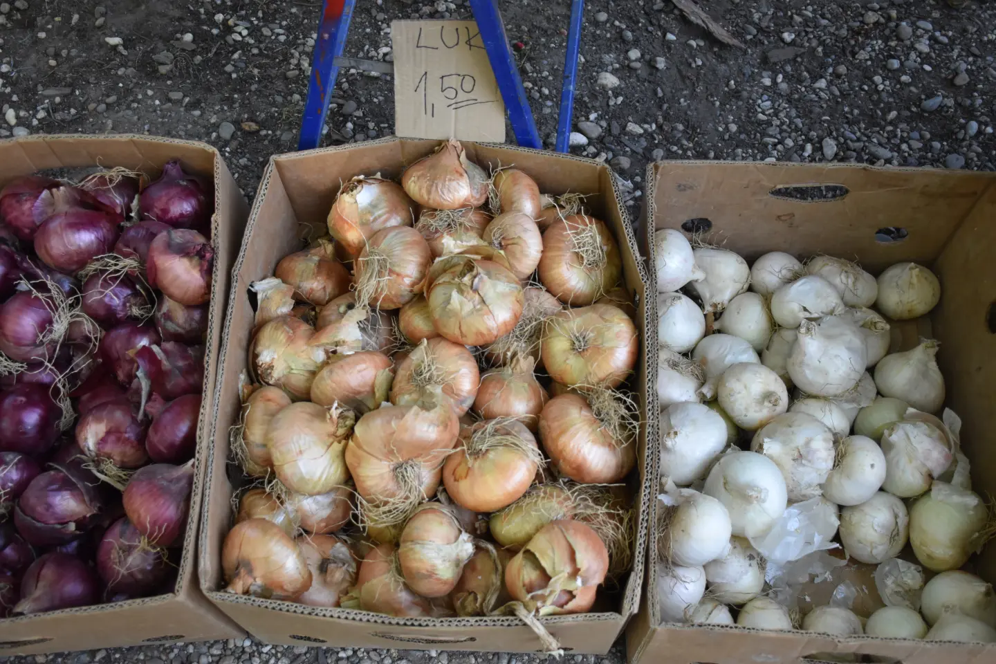 Sajam 27.8.2025., Čakovec (11)