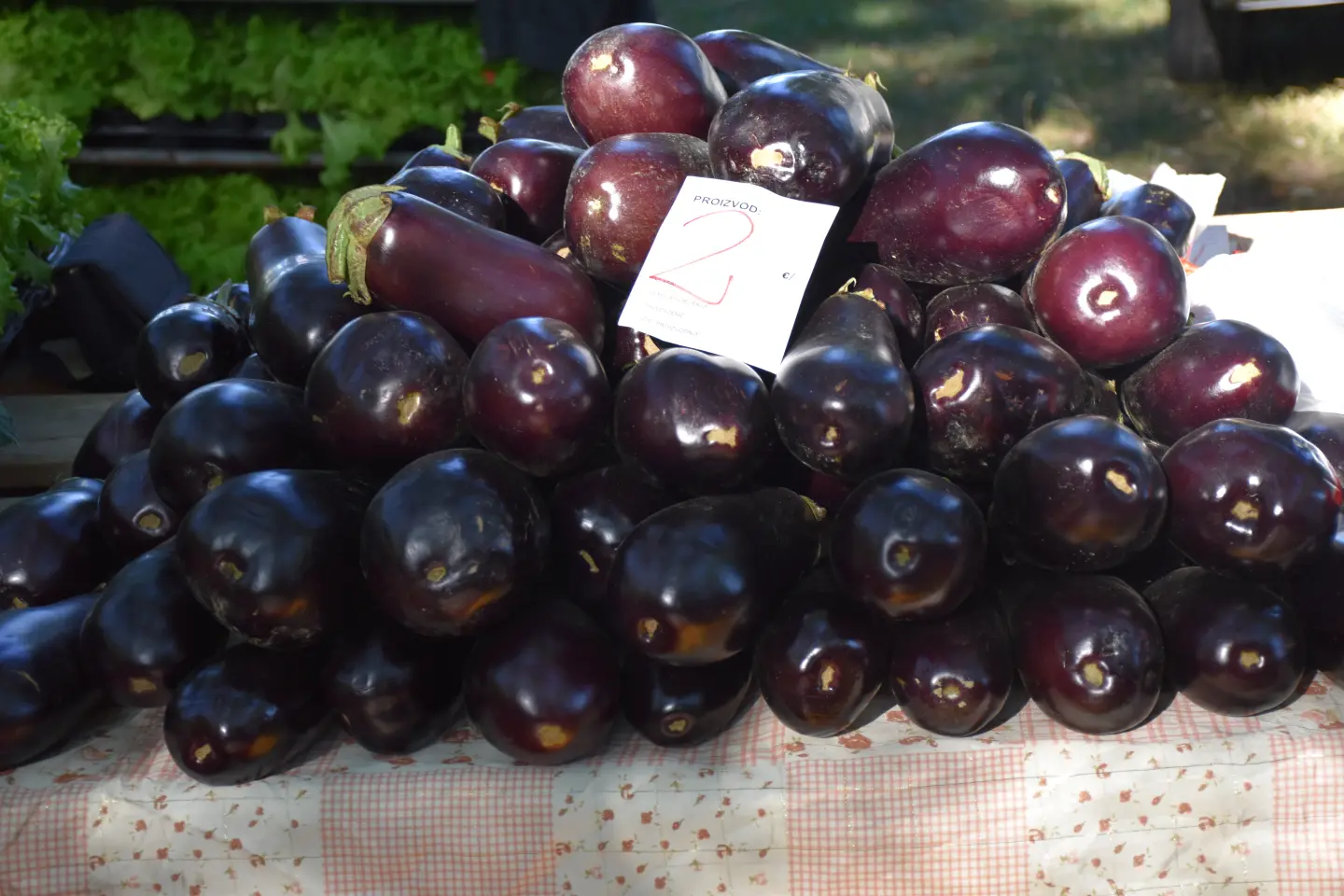 Sajam 27.8.2025., Čakovec (15)