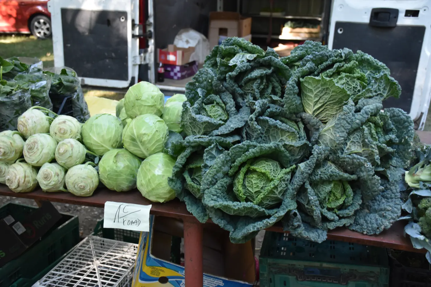 Sajam 27.8.2025., Čakovec (19)