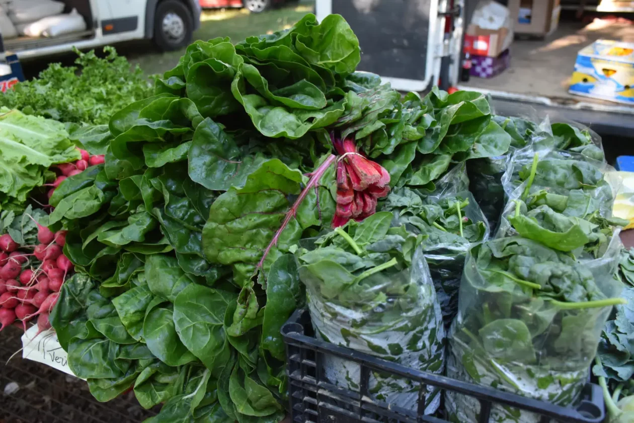 Sajam 27.8.2025., Čakovec (20) Sajam 27.8.2025., Čakovec (20)