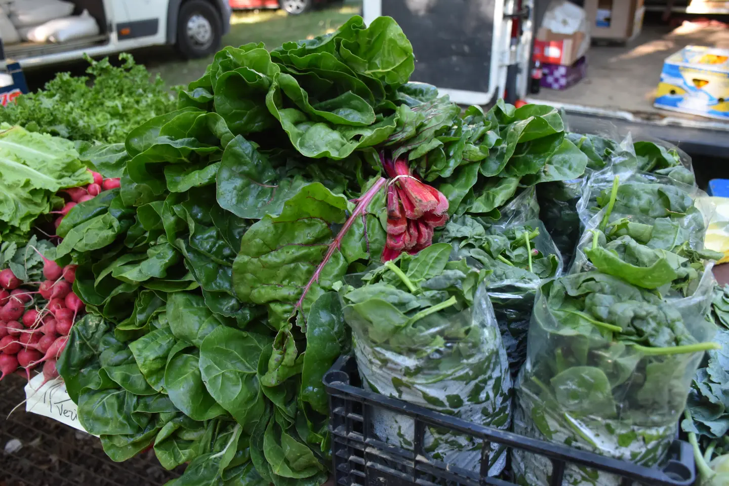 Sajam 27.8.2025., Čakovec (20)