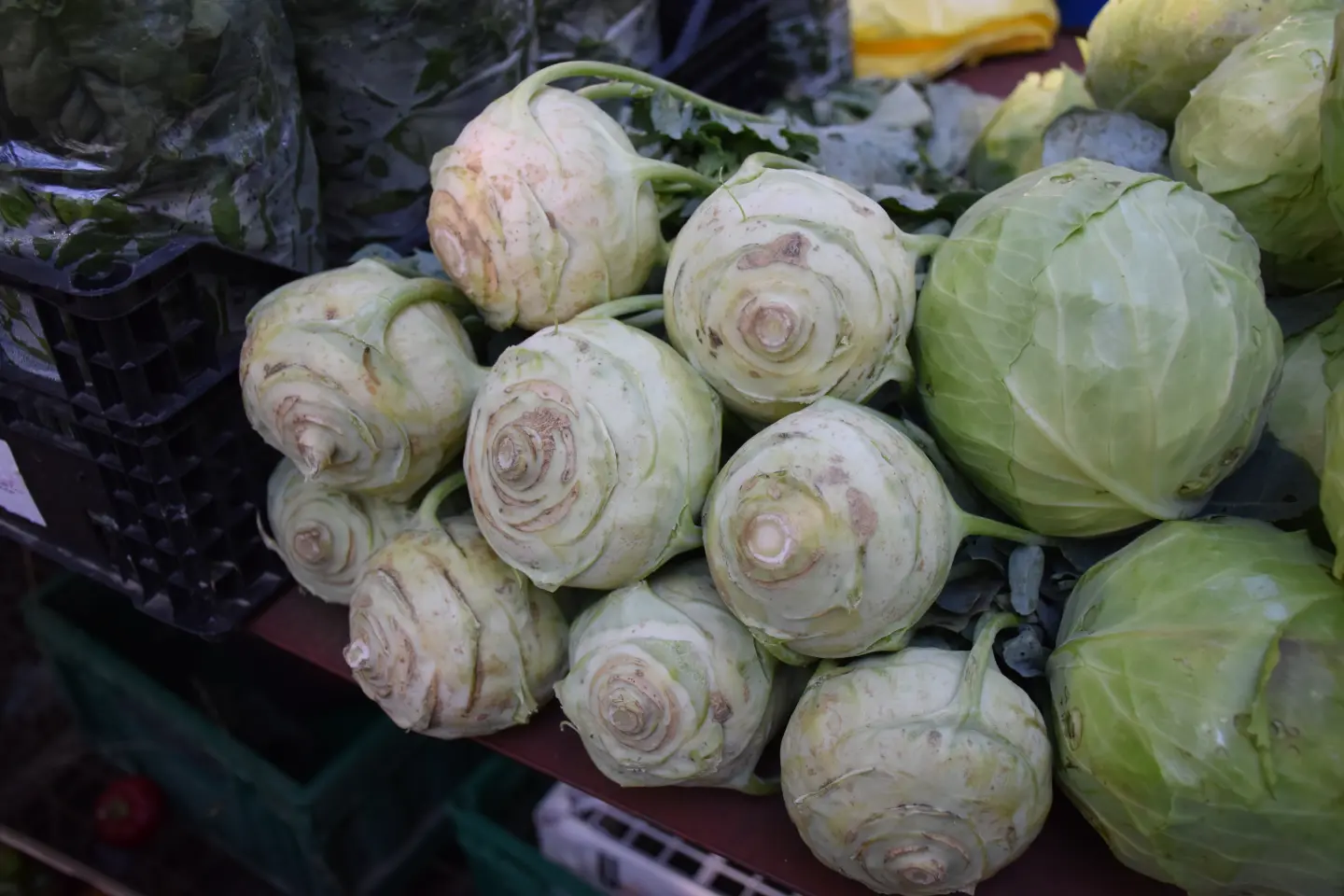 Sajam 27.8.2025., Čakovec (21)