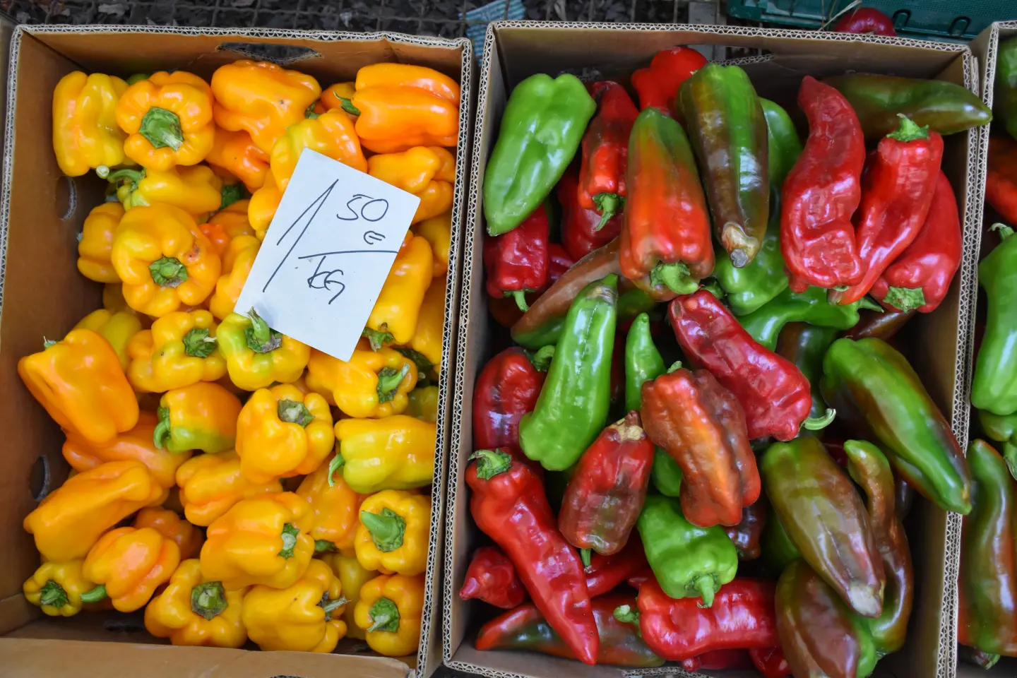 Sajam 27.8.2025., Čakovec (22)