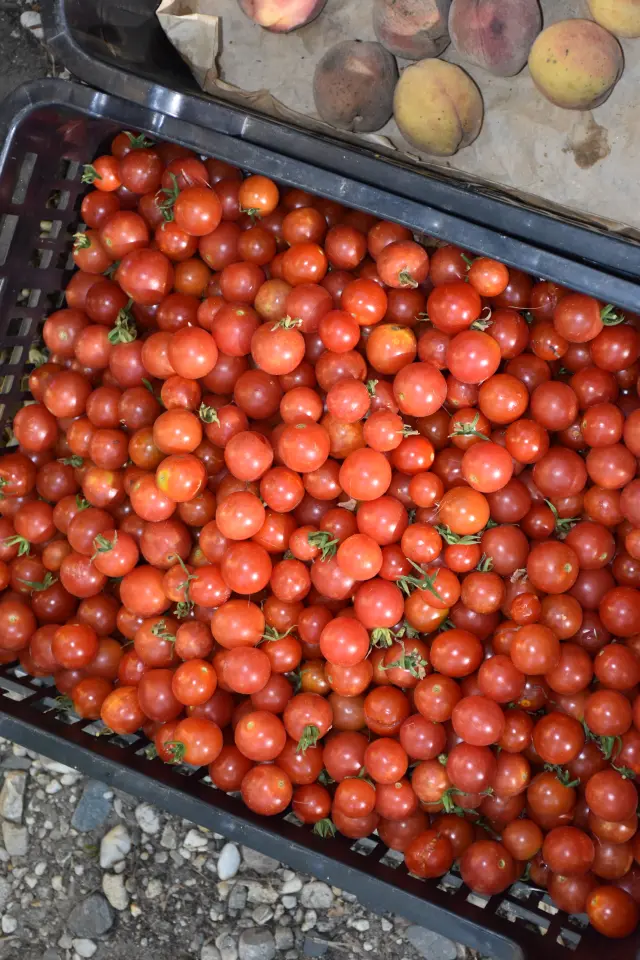 Sajam 27.8.2025., Čakovec (23)