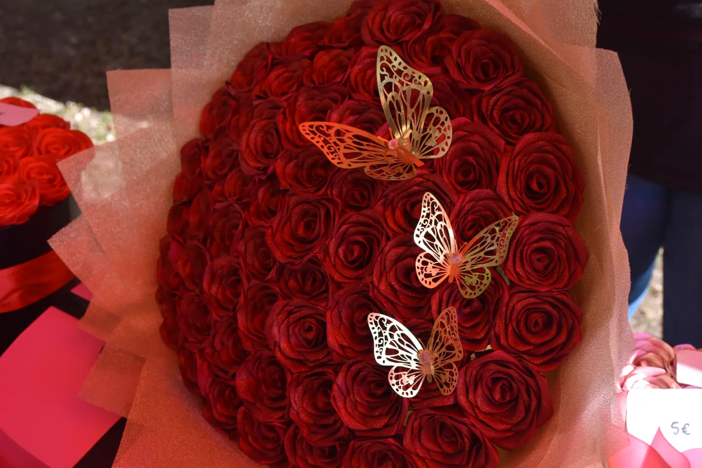 Sajam 27.8.2025., Čakovec (33)