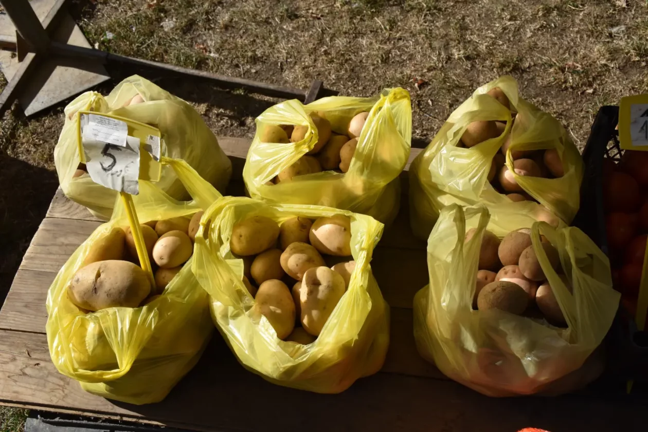 Sajam 27.8.2025., Čakovec (34) Sajam 27.8.2025., Čakovec (34)